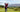 Top 5 Golf Tips for Beginners to Improve Their Game - HARG