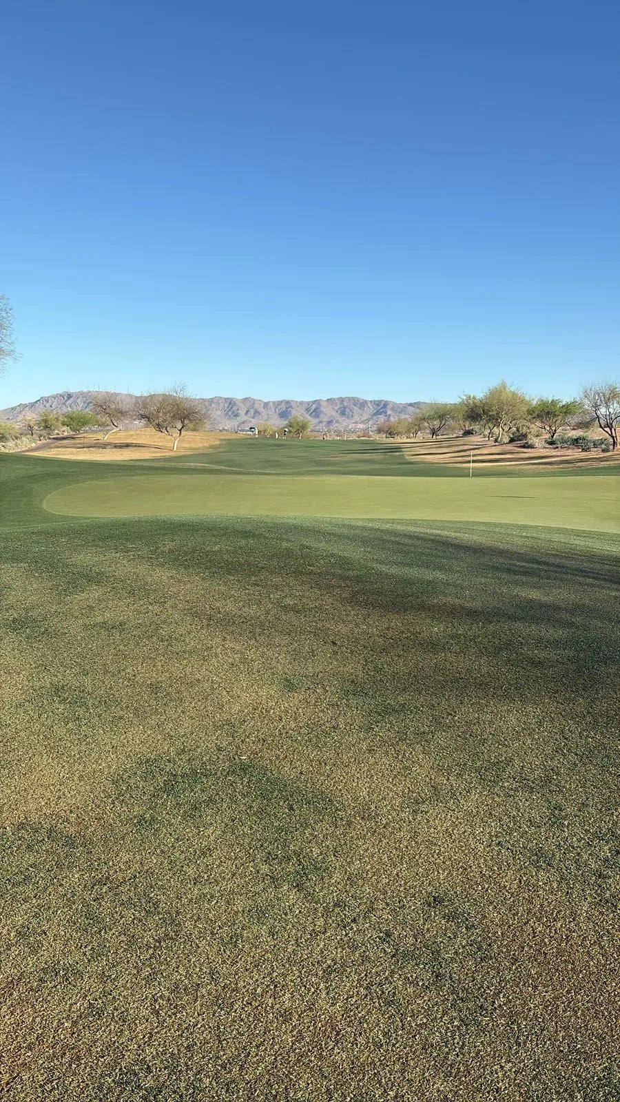 A Week in the Life of an LPGA Tour Caddie ⛳✈️ - HARG