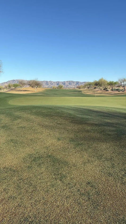 A Week in the Life of an LPGA Tour Caddie ⛳✈️ - HARG